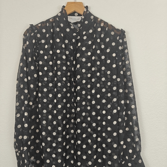 THE SHIRT By Rochelle Behrens Long Sleeve Polkadot Chiffon Mini Shirt Dress Sz S - Picture 4 of 14